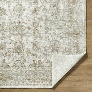 Livabliss Da Vinci DVC-2316 Ivory Area Rug Pile