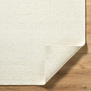 Surya Davala DVL-2300 Light Silver Area Rug Pile