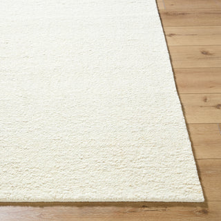 Surya Davala DVL-2300 Light Silver Area Rug Angle
