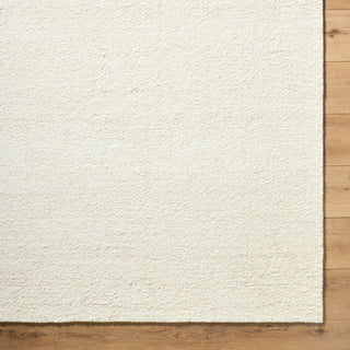 Surya Davala DVL-2300 Light Silver Area Rug Detail