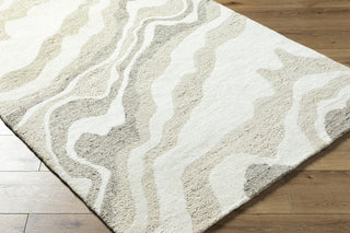 Livabliss Divine DVN-2301 Light Silver Area Rug