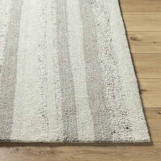 Livabliss Divine DVN-2302 Slate Area Rug