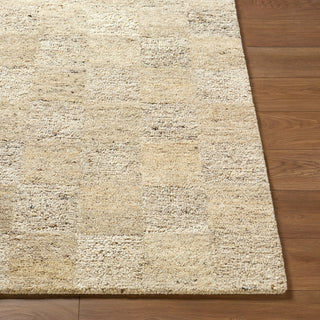 Livabliss Divine DVN-2306 Sandstone Area Rug Angle