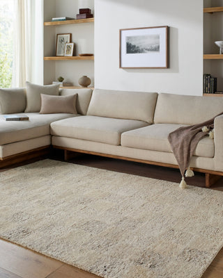 Livabliss Divine DVN-2306 Sandstone Area Rug Room Scene