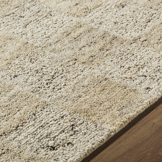 Livabliss Divine DVN-2306 Sandstone Area Rug Detail