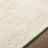 Livabliss Divine DVN-2307 Ivory Area Rug Detail