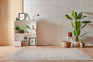 Dynamic Rugs Aimon 16656 Light Grey/Grey Area Rug Room Scene Feature