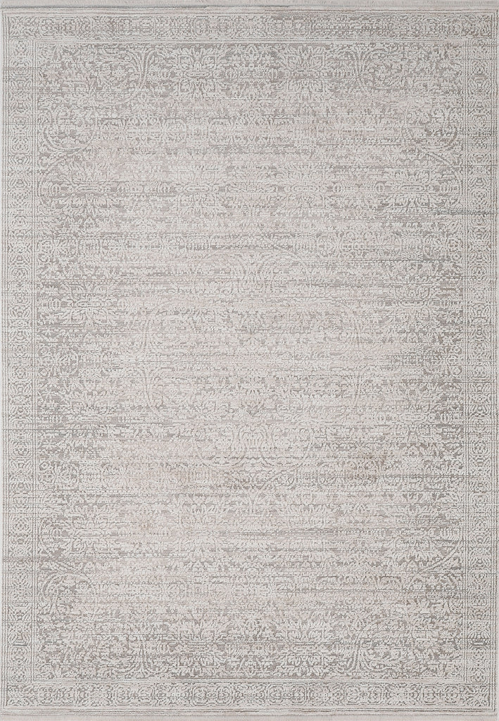 Dynamic Rugs Aimon 16656 Light Grey/Grey Area Rug main image