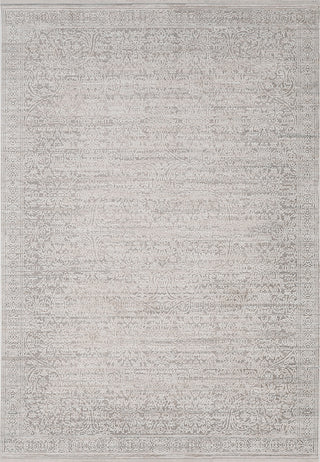 Dynamic Rugs Aimon 16656 Light Grey/Grey Area Rug main image
