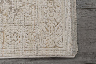 Dynamic Rugs Aimon 16656 Light Grey/Beige Area Rug Corner Shot