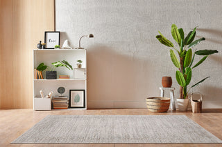 Dynamic Rugs Aimon 16656 Light Grey/Beige Area Rug Room Scene Feature