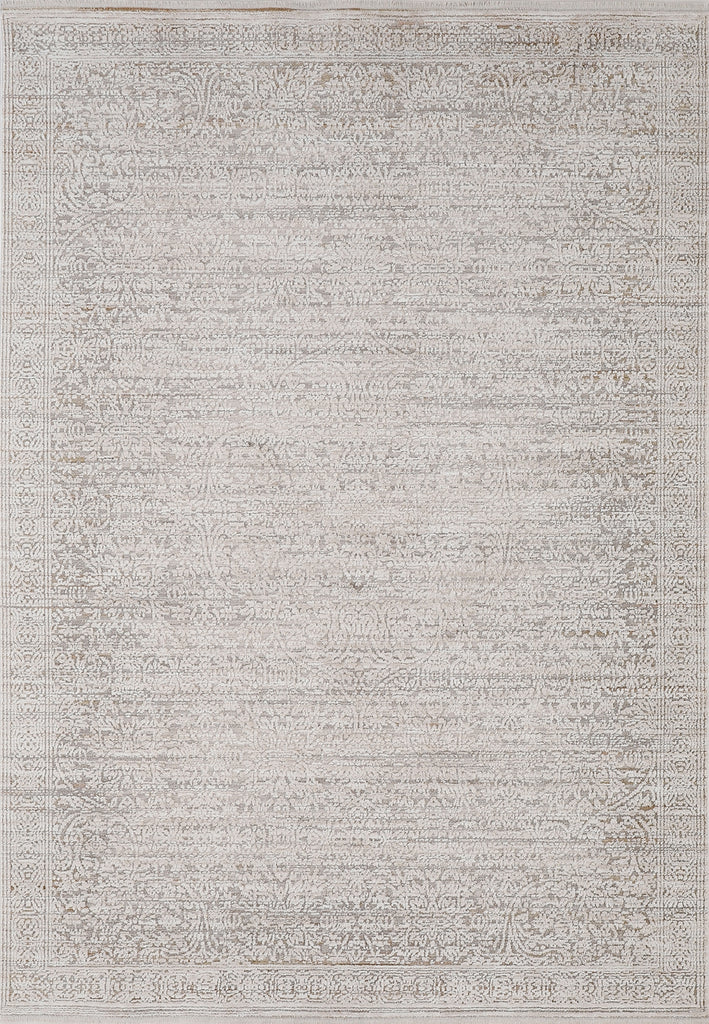 Dynamic Rugs Aimon 16656 Light Grey/Beige Area Rug main image