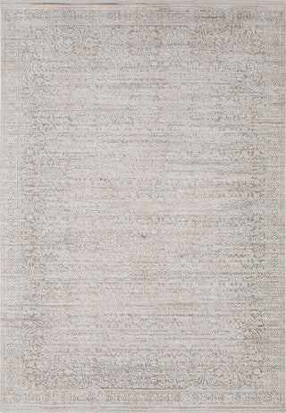 Dynamic Rugs Aimon 16656 Light Grey/Beige Area Rug main image