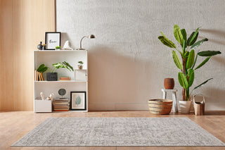 Dynamic Rugs Aimon 16657 Light Grey/Grey Area Rug Room Scene Feature