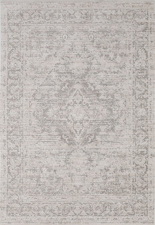 Dynamic Rugs Aimon 16657 Light Grey/Grey Area Rug main image