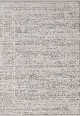 Dynamic Rugs Aimon 16658 Rust/Grey/Beige Area Rug main image