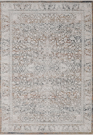 Dynamic Rugs Aimon 16659 Ivory/Multi Area Rug main image