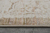 Dynamic Rugs Aimon 16659 Brown/Ivory/Multi Area Rug Detail