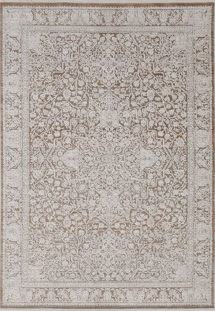Dynamic Rugs Aimon 16659 Brown/Ivory/Multi Area Rug main image