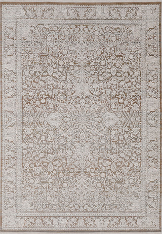 Dynamic Rugs Aimon 16659 Brown/Ivory/Multi Area Rug main image