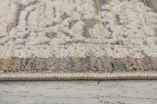 Dynamic Rugs Aimon 16659 Grey/Ivory Area Rug Detail