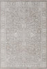 Dynamic Rugs Aimon 16659 Grey/Ivory Area Rug main image