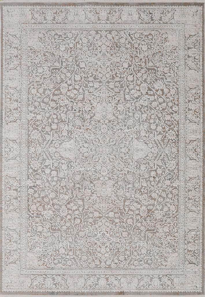 Dynamic Rugs Aimon 16659 Grey/Ivory Area Rug main image