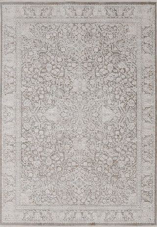 Dynamic Rugs Aimon 16659 Grey/Ivory Area Rug main image