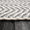 Dynamic Rugs Allegra 2986 Grey/White Area Rug