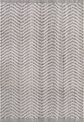 Dynamic Rugs Allegra 2986 Grey/White Area Rug