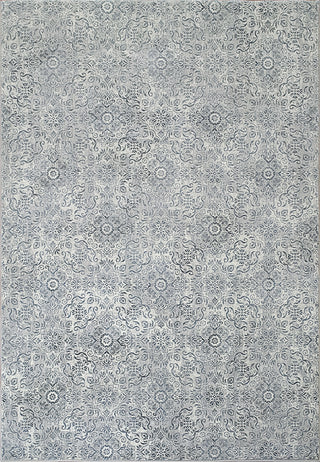 Dynamic Rugs Ancient Garden 57162 Silver/Grey Area Rug main image