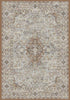 Dynamic Rugs Ancient Garden 57275 Beige/Multi Area Rug main image
