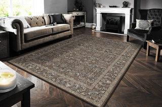 Dynamic Rugs Ancient Garden 57276 Dark Brown/Beige/Blue Area Rug Room Scene Feature