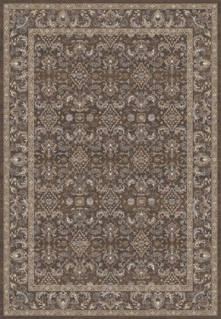 Dynamic Rugs Ancient Garden 57276 Dark Brown/Beige/Blue Area Rug main image
