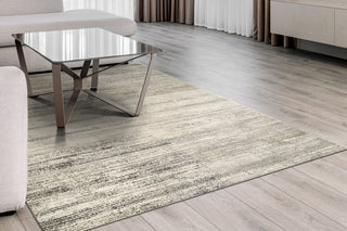 Dynamic Rugs Annalise 7611 Grey/Beige/Charcoal Area Rug Room Scene Feature