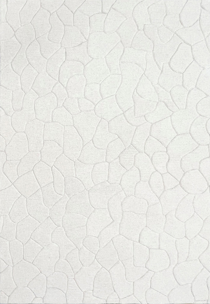 Dynamic Rugs Aria 8551 Ivory Area Rug main image