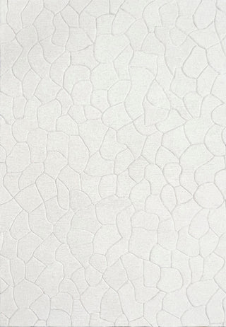 Dynamic Rugs Aria 8551 Ivory Area Rug main image