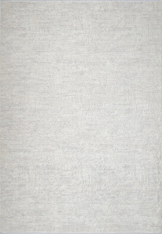 Dynamic Rugs Artemis 17541 Light Grey Area Rug main image