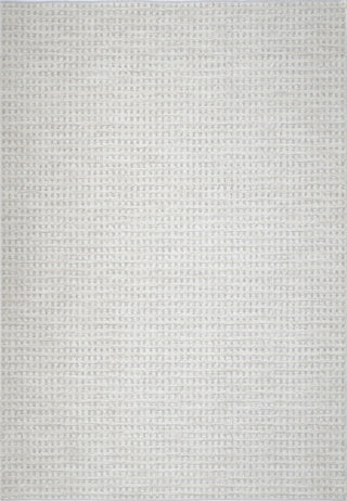 Dynamic Rugs Artemis 17543 Ivory/Grey Area Rug main image