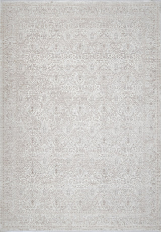 Dynamic Rugs Artemis 17544 Beige/Grey Area Rug main image