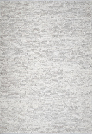 Dynamic Rugs Artemis 17548 Beige/Grey Area Rug main image