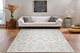 Dynamic Rugs Artemis 17549 Grey/Beige Area Rug Room Scene Feature