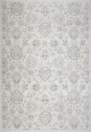 Dynamic Rugs Artemis 17549 Grey/Beige Area Rug main image