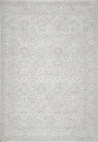 Dynamic Rugs Artemis 17553 Grey Area Rug main image