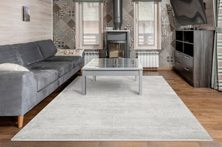 Dynamic Rugs Arten 3752 Light Grey Area Rug Room Scene 3