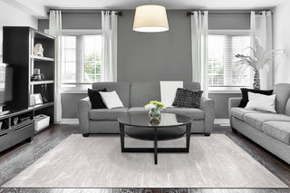 Dynamic Rugs Arten 3754 Grey Area Rug Room Scene Feature