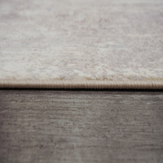 Dynamic Rugs Atlas 2570 Beige/Ivory Area Rug Detail