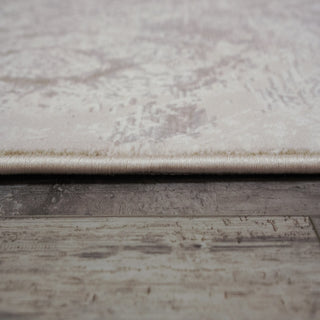 Dynamic Rugs Atlas 2573 Beige Area Rug Detail