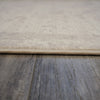 Dynamic Rugs Atlas 2574 Ivory/Grey Area Rug Detail