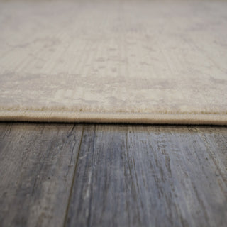 Dynamic Rugs Atlas 2574 Ivory/Grey Area Rug Detail